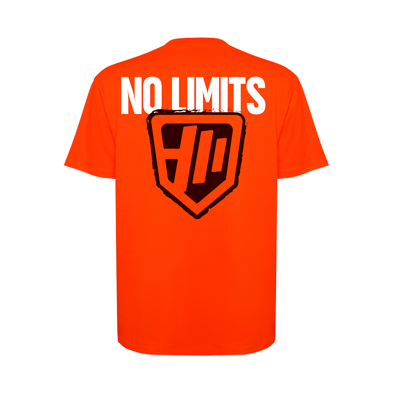 NoLimits_fireorange